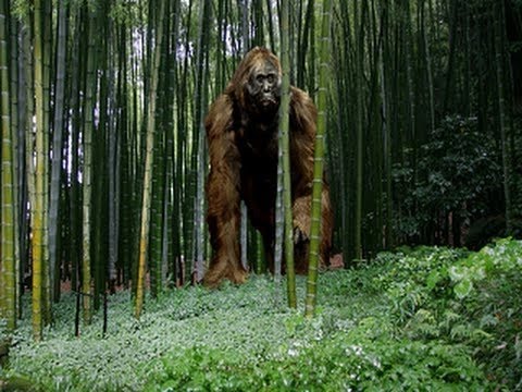 The Largest Ape that Ever Lived Documentary