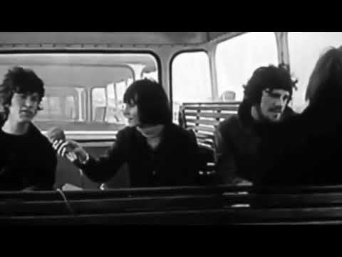 Traffic - Accept Us