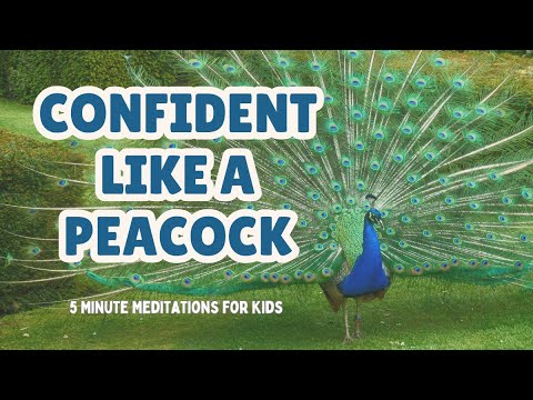 Confident like a Peacock-Mindfulness To Help Kids Feel Confident || 5 Minute Meditation For Kids