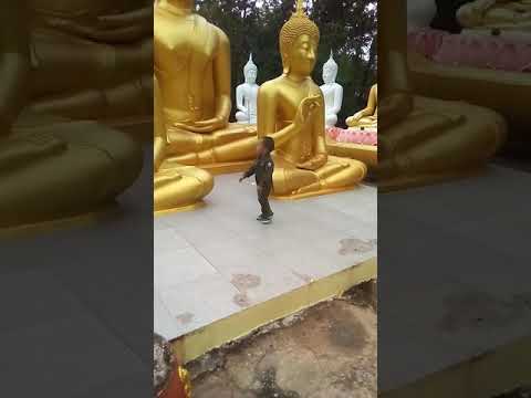 มาดูกันว่า..น้องกับตันจะพาน้องเก้าไหว้พระยังไงชมในคลิปได้เลยคับ