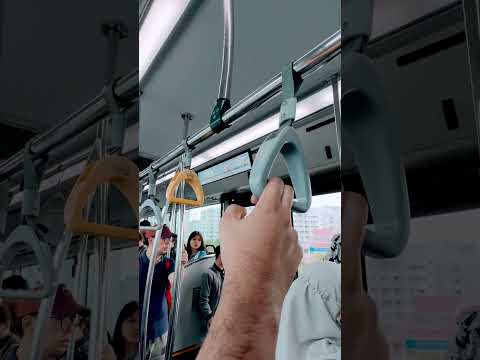 Traveller #simplezindgi #shortsvideo #ytshort #views #viral #shortsfeed #travel #subscribe #tiktok