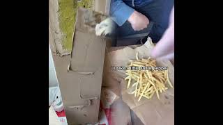 #povs #pov #fyp #foryou #foryourpage #funny #fun #YOUTUBE