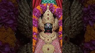 जय श्री श्याम 🍁#KhatuShyamShorts #KhatuShyamViral #KhatuShyamTrending #BabaShyam #ShreeShyam #Khatu