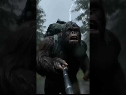 Call FEMA now!!! 🚨 #bigfoot #bigfootvlog #flood #ai #monkey #comedy #funny #lifeisbutadream #tiktok