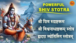 🔱Powerful Shiv Stotra | Shri Rudrashtakam, Vishwanathashtakam & Jyotirlinga Stotram