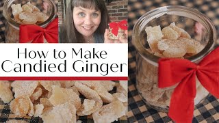 How to Make Candied Ginger- 12 Days of Dehydrating