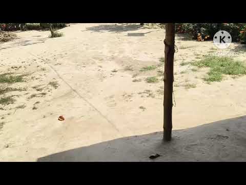 My vlog No 4