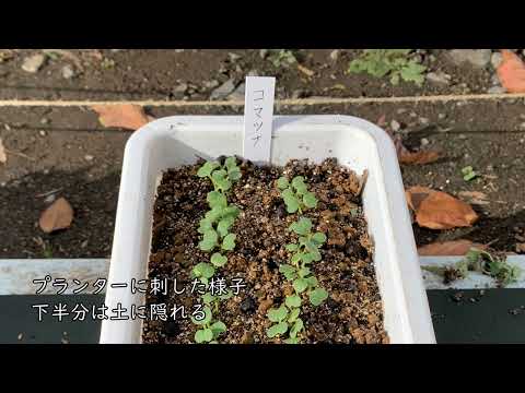 ラベルの作り方