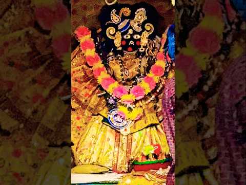 ⚜️श्रीबाँकेबिहारीजी की शयन-आरती दर्शन|[07मार्च,2025]⚜️ #youtube#radha#laddugopal#bankebihari#krishna