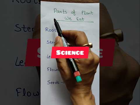 Parts of plant we eat☘️ #science #evs #facts #sciencefacts #short #shorts #shortsfeed #ytshorts