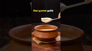 கெட்டியான தயிர் | How To Make Thick Curd #curd #curdmaking #food #thickcurd