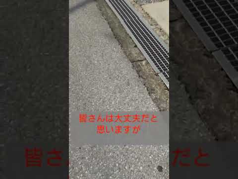 【国試浪人】願書提出  #shorts #看護師国家試験 #国試浪人