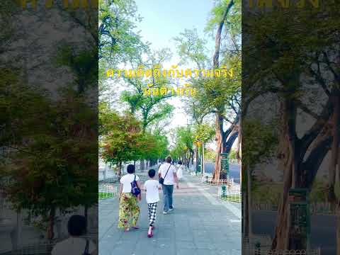 ทำได้แค่คิดถึงคนบนฟ้า#เกาะรัตนโกสินทร์ #สงกรานต์ไปไหน