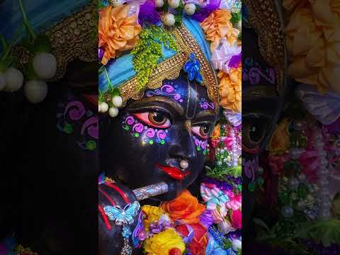 गोविंद बोलो हरि गोपाल बोलो | Shree Krishna Dhun | Janmashtami | Gokulashtami | Shemaroo Bhakti