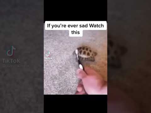 if your ever sad whatch this