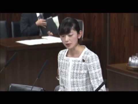 【佐々木さやか】法務委員会 初質問（抜粋）~2013年11年05日