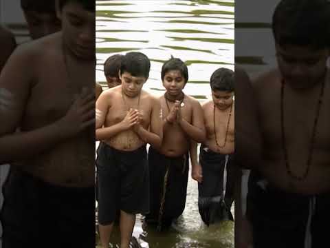 സാധു കുചേലനെ | Saranam Aruleedene #shorts #ayyappa #ayyappan #sabarimala #ayyappaswamy #ayyappasongs