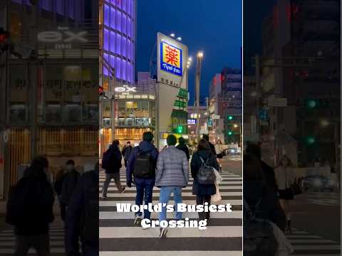 Tokyo’s Shibuya Crossing: 2,000 People at Once! #japan