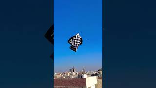 #trending #kitezone #kiteflying #kitecorner #love #kiteworld #kiteflying #kitelife #kiteflying#trend