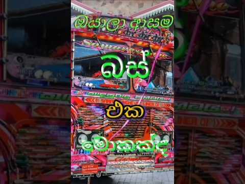 ඔයාලා ආසම බස් එක මොකක්ද🚍🚍🚌#shorts #shortvideo #bus#srilankanbus