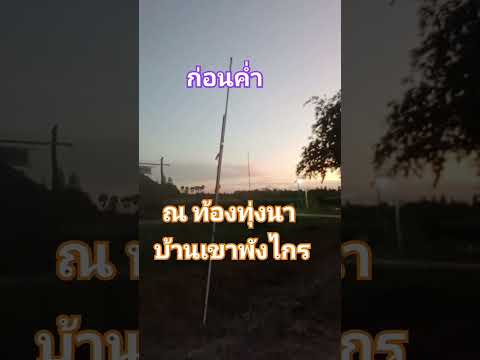 ก่อนค่ำ