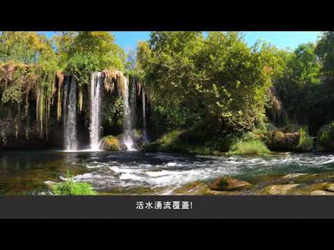 活水的愛  [原創詩歌]