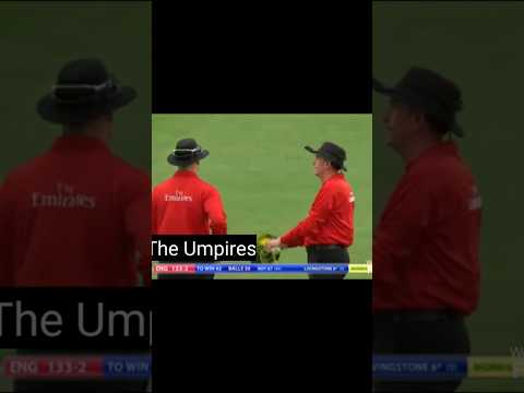 Umpire Rule #cricket #rules #umpire #viratkohli #cricketlover #ipl #bcci #indiancricketer #trending
