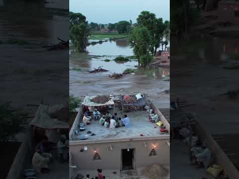 "How a Village Faces Floods" #yt #FloodDocumentry #RuralLife #Floodawarness #Climatechang2025
