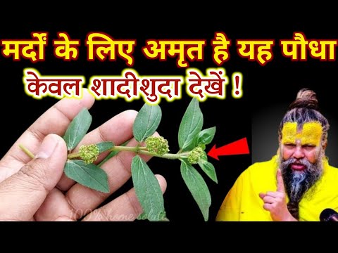 केवल मर्द देखें वीडियो को ये पौधा अपने कर लेते आओ और इस जगह पर रख दो | Best motivational video