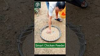 Smart Chicken & Duck Feeder for Healthy Feeding #PoultryFeeder #shortsfeed