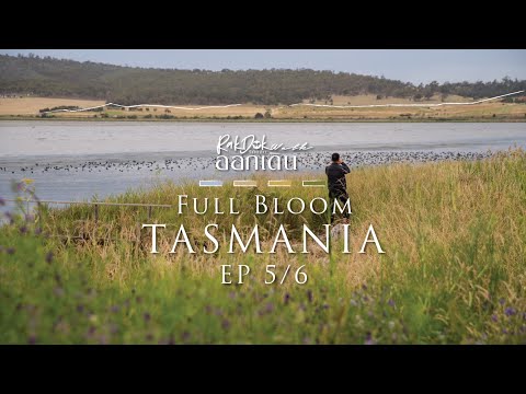 รักดอกออกเดิน Full Bloom Tasmania Ep. 5/6  l RakDok Walk