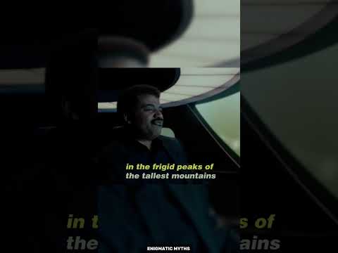Tardigrade The Space Creature | Apex Survival #shorts #space #spacefacts