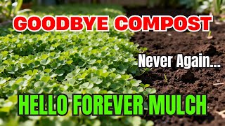 I Planted “Forever Mulch” Seeds and Never Composted Again (Here's What Happened)