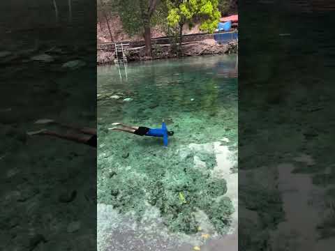 Swimming In Crystal Clear Natural Water 🌊💙 #clearlake #naturalspring #relaxingvideo #satisfying