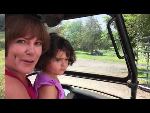 A Day at Sherwood Farm