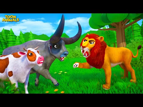 Cow & Bull Face Off with Lion Family in an EPIC Jungle Chase!