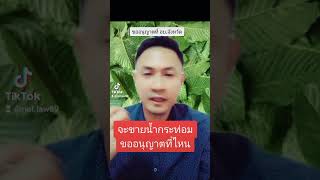 จะขายน้ำกระท่อมขออนุญาตที่ไหน