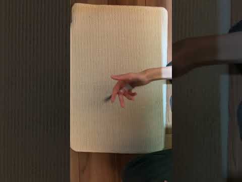 たまには普通にね… #ペン回し