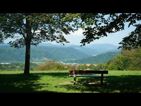 Garden Ambience Sound Effect.