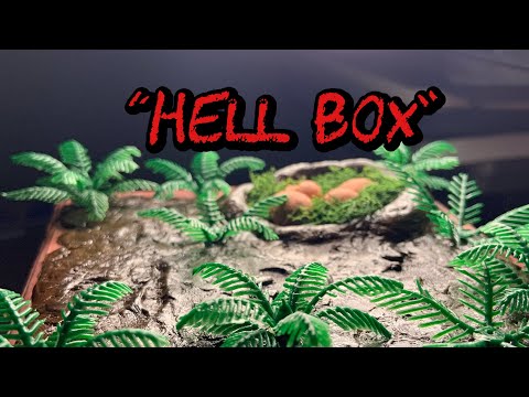 “Hell Box” | 2D / 3D Paleoart Project