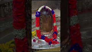 #mahadev #mahakal  #shivbhakt #shiva_holic  #shivshankar #rudra #bholenath #gorishankar #trending