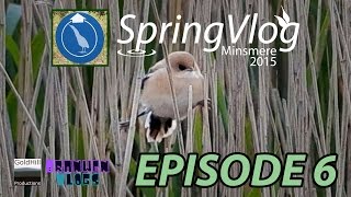 SpringVlog Episode 6 | RSPB Minsmere