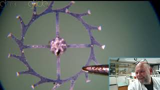 Vintage Watch Repair, YOU can do this yourself! - Live Watchmaking Stream