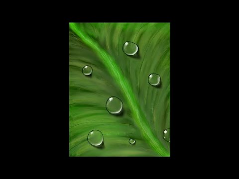 "satisfying video" how to draw realistic 3d  water drop on the leaf. digital painting #mrart