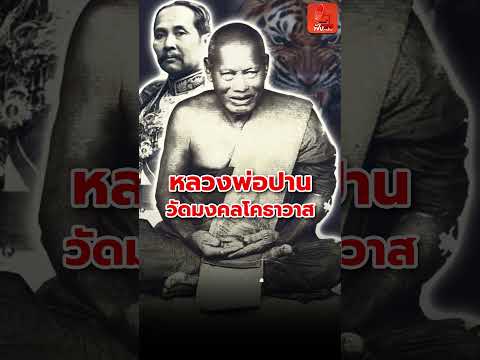 8/15 เขี้ยวเสือ หลวงพ่อปาน วัดมงคลโคธวาส