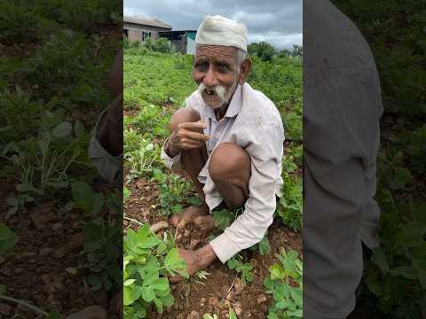 Meet my friend | #viral #ytshorts #youtube #farming #shetkari #kolhapur