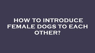 How to introduce female dogs to each other?