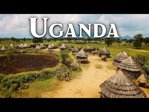 THIS IS UGANDA: Dangers, Traditions, Ethnic Groups, Endangered Animals, What NOT to Do