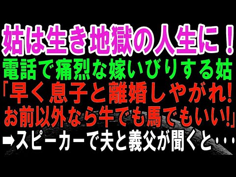 【スカッとする話】電話で痛烈な嫁いびりをする姑「息子と離婚しろ！お前以外なら牛でも馬でもいい！」→復讐のために電話をスピーカーにして、夫たちが全てを聞いていたら修羅場に！その後、義母は生き地獄