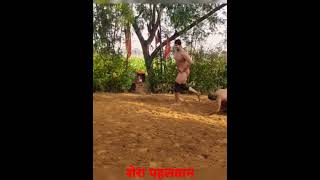 #desi शेरा गुज्जर अखाड़ा हरकेश खली 16 की उमर 7 फीट लंबा पहलवान 135 kg वजन #trendingshorts #Shera